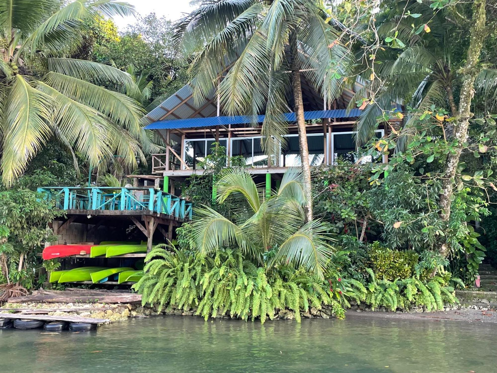 Palmeras Del Rio Hotel La Vina Bagian luar foto