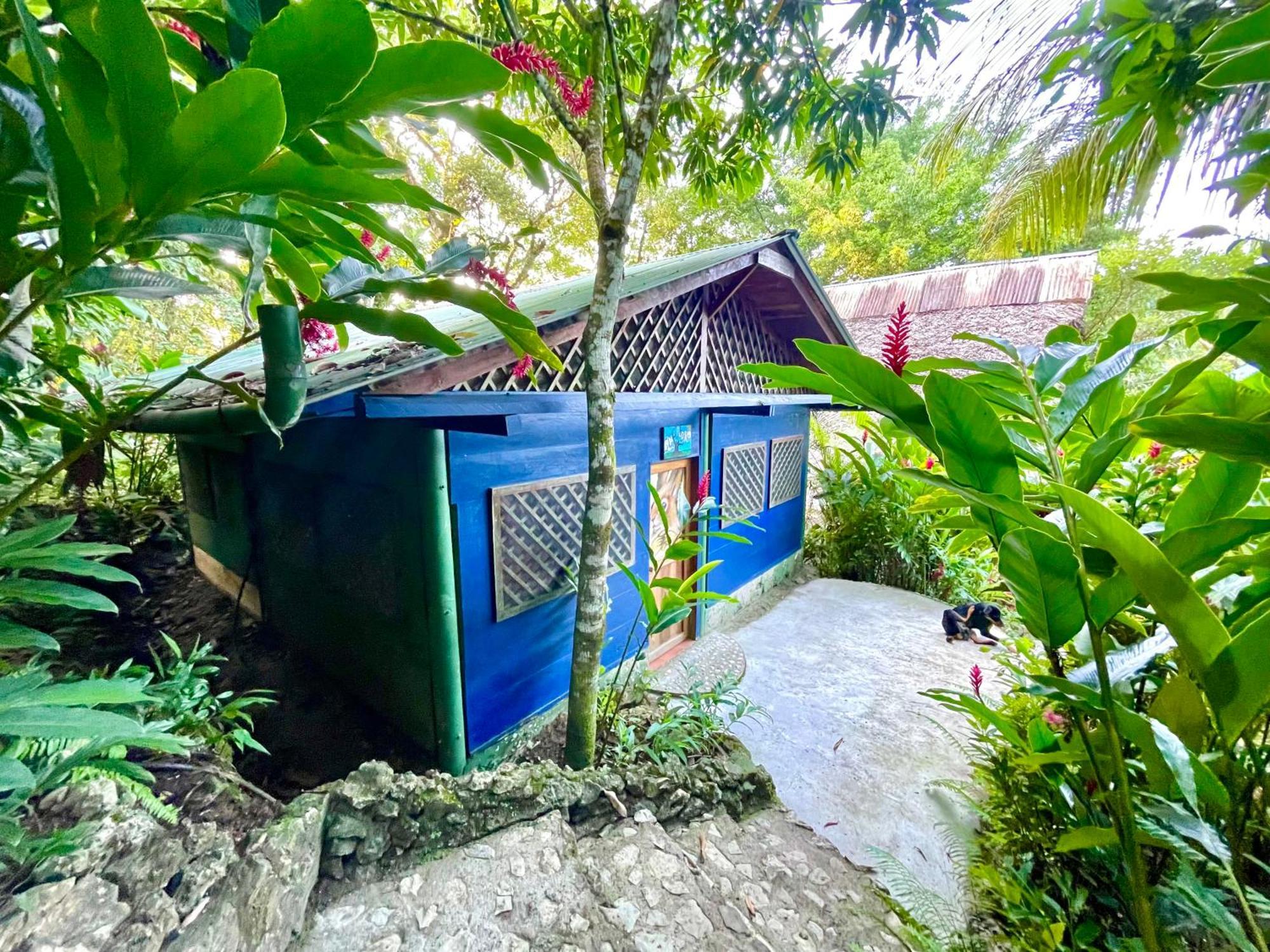 Palmeras Del Rio Hotel La Vina Bagian luar foto