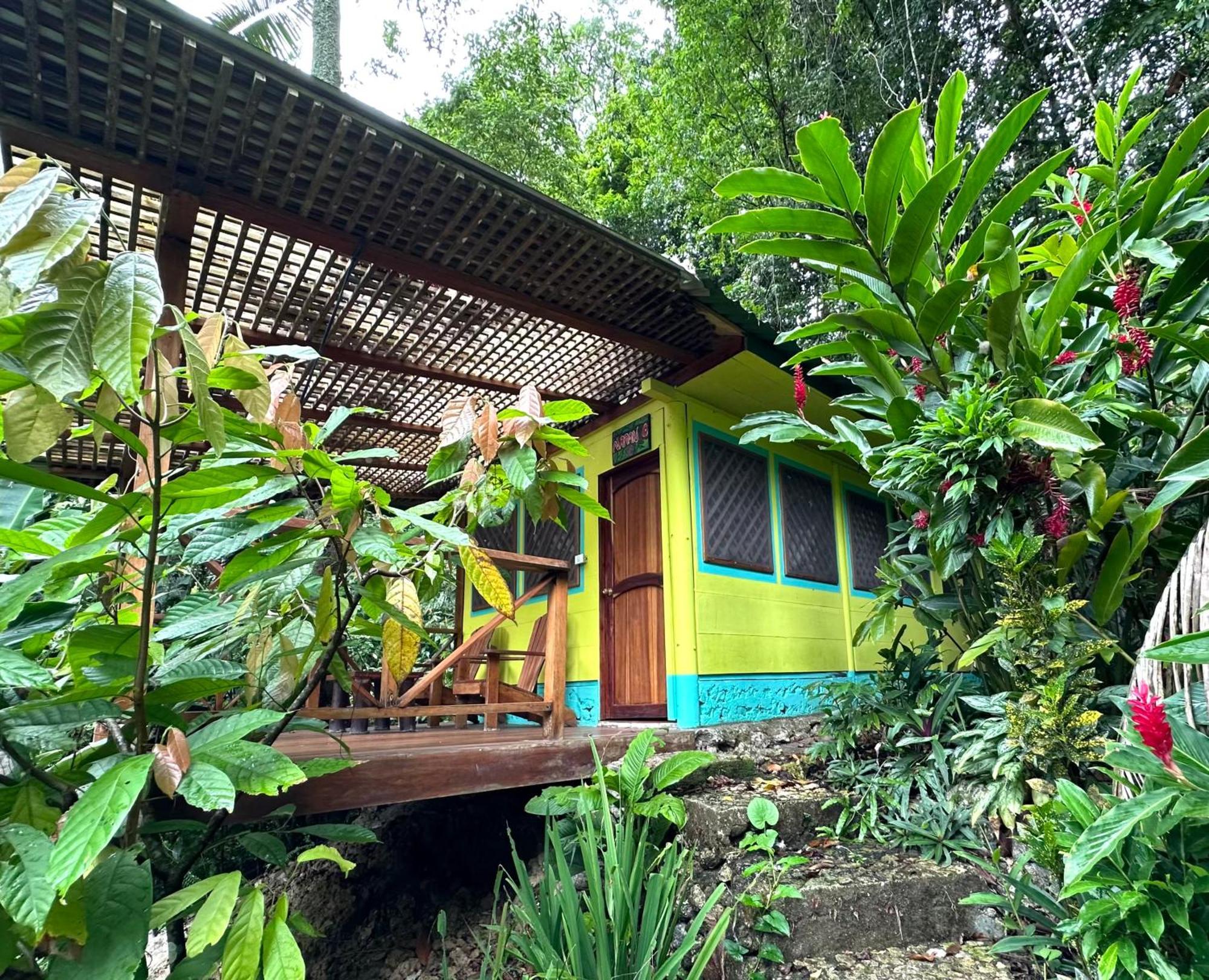 Palmeras Del Rio Hotel La Vina Bagian luar foto