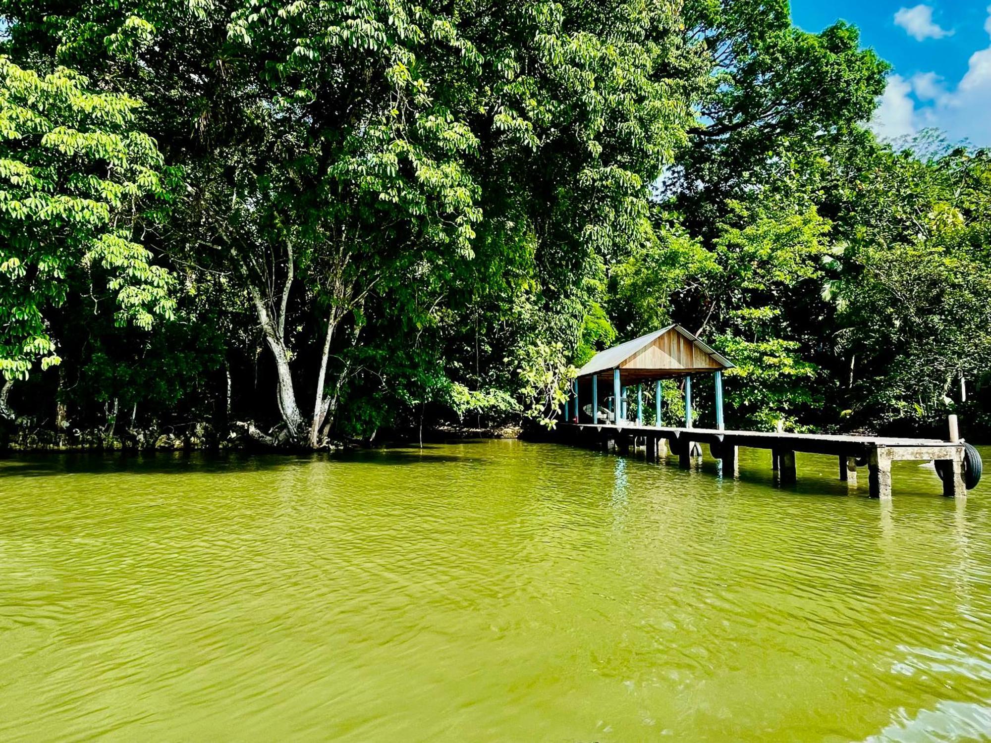 Palmeras Del Rio Hotel La Vina Bagian luar foto