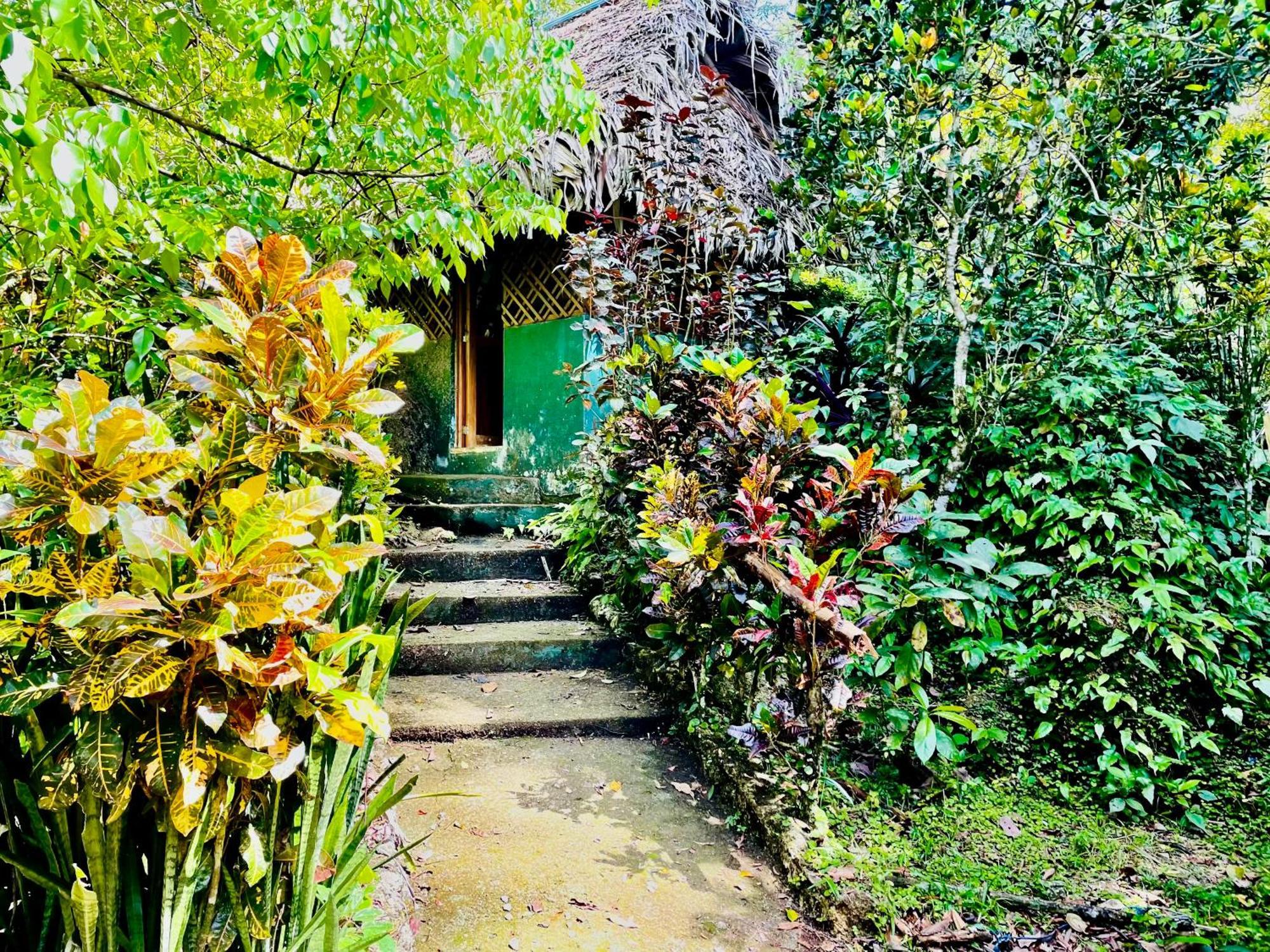 Palmeras Del Rio Hotel La Vina Bagian luar foto
