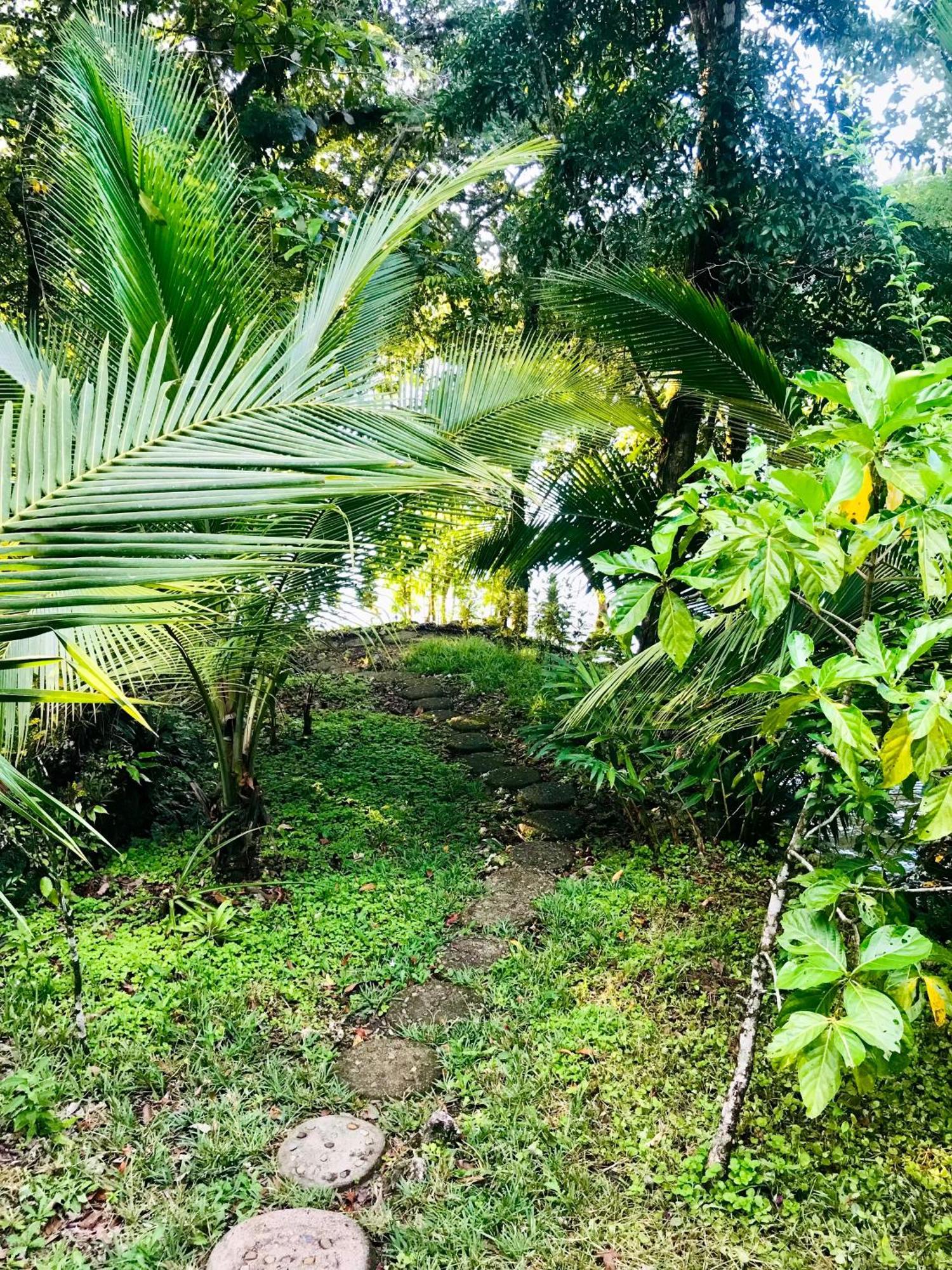 Palmeras Del Rio Hotel La Vina Bagian luar foto