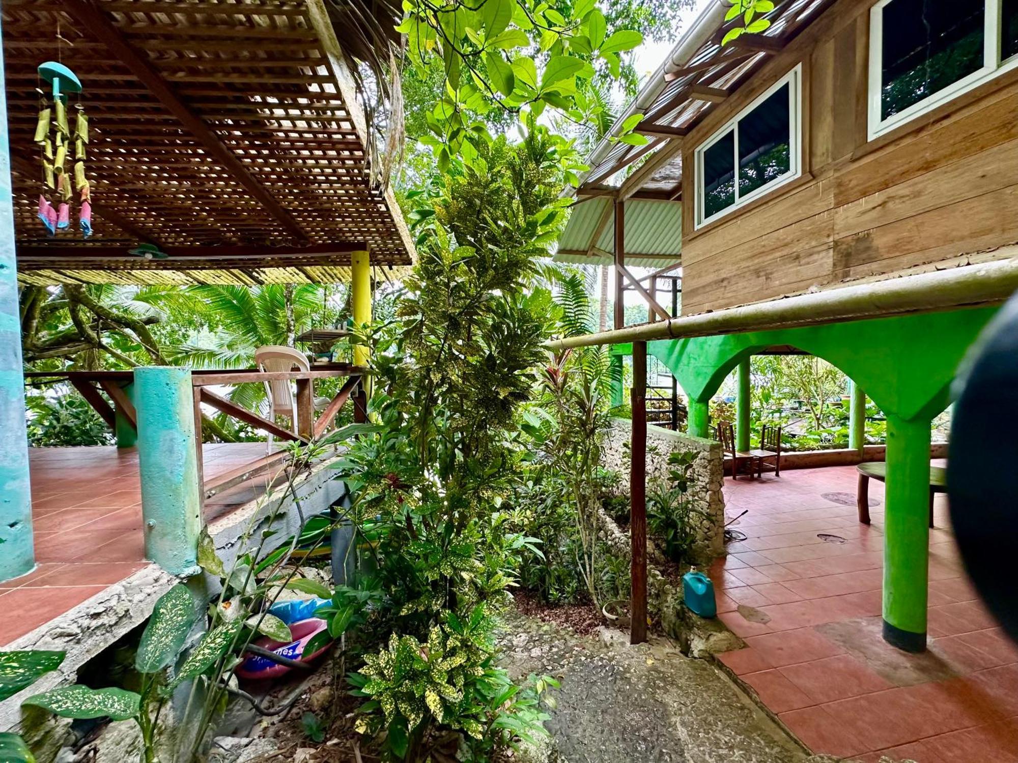 Palmeras Del Rio Hotel La Vina Bagian luar foto