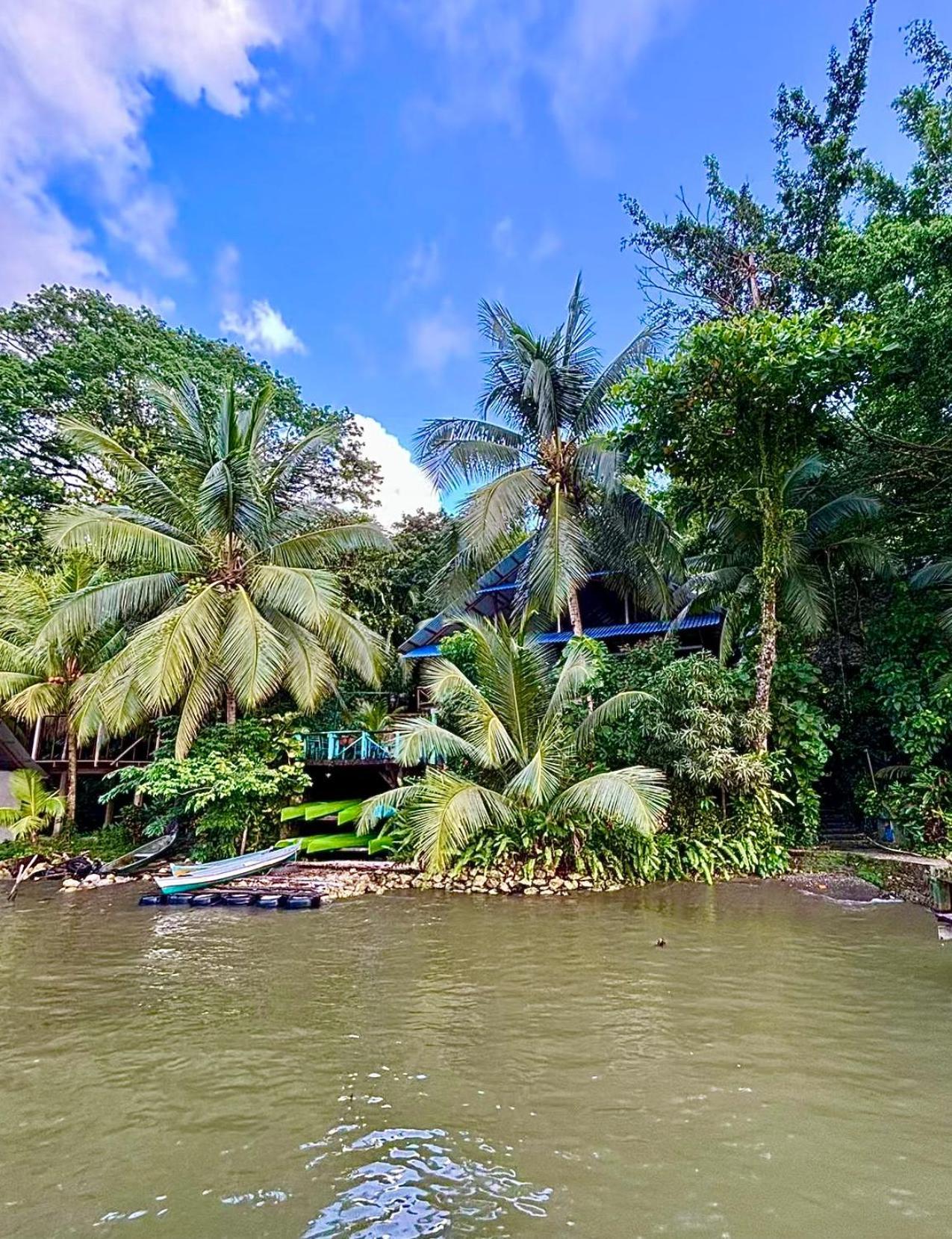 Palmeras Del Rio Hotel La Vina Bagian luar foto