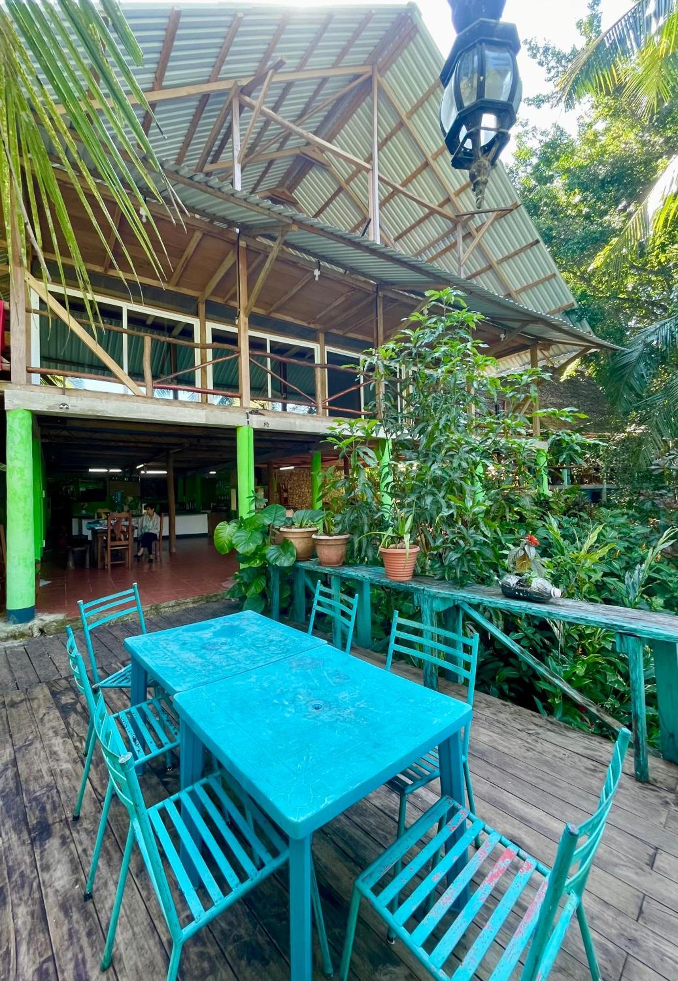 Palmeras Del Rio Hotel La Vina Bagian luar foto